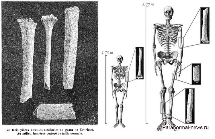 Загадка гигантских человеческих костей из Франции, о которых внезапно забыли